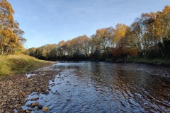 Antons Pool, Forres Angling Association