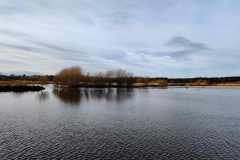 breach-moy-burn