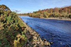 Mid Dump Pool, Forres Angling Association