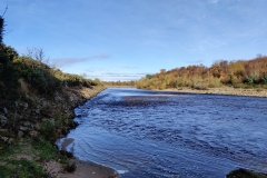 Dump Pool, Forres Angling Association
