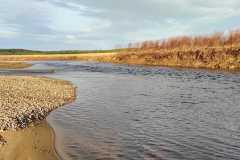 Head of Greenbank Pool