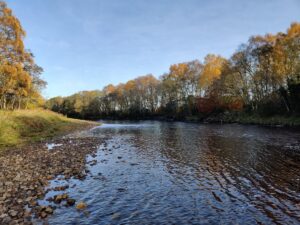 Forres Angling Association, Antons Pool, River Findhorn