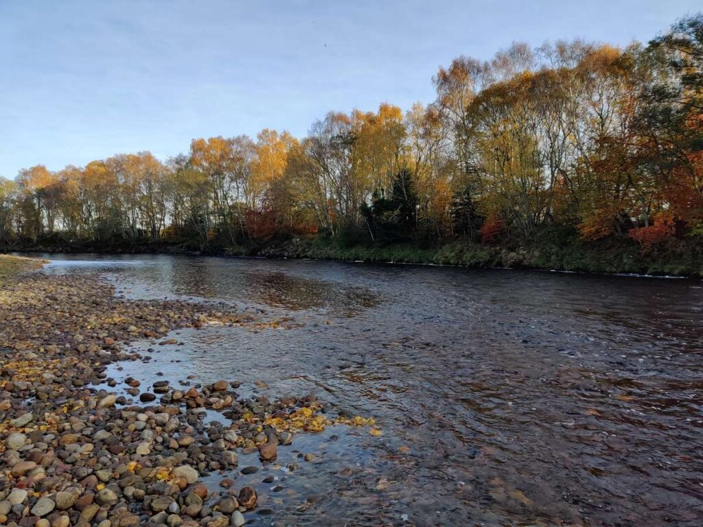 The run into Antons Pool, Forres Angling Association, Rivver Findhorn