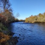 Collins pool, Forres Angling Association, River Findhorn