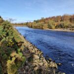 Looking downstream towards the tail of the Dump pool, Forres Angling Association