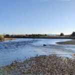 greenbank-forres
